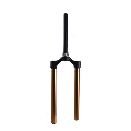 2021 FOX 36 E-Bike+ CSU Kashima Matte Black