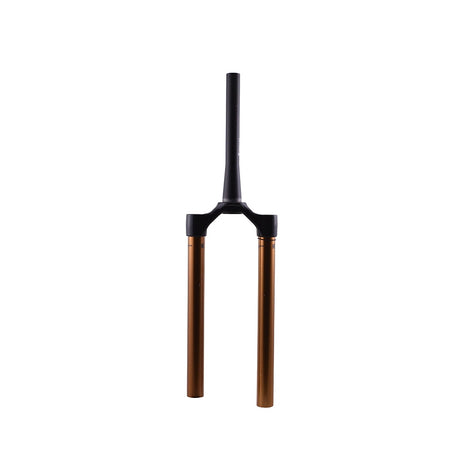 2021 FOX 36 E-Bike+ CSU Kashima Shiny Black