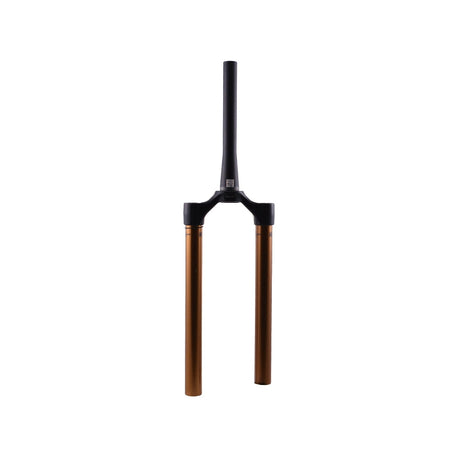 2021 FOX 36 E-Bike+ CSU Kashima Shiny Black