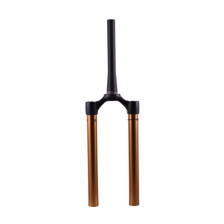 2021 FOX 38 CSU Kashima Shiny Black