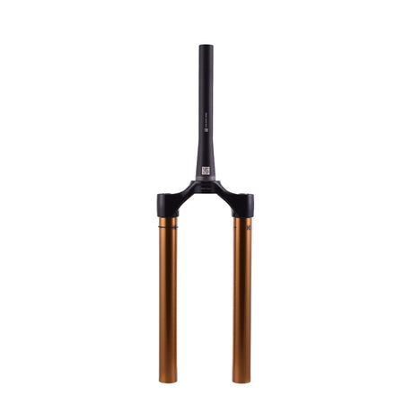 2021 FOX 38 CSU Kashima Shiny Black