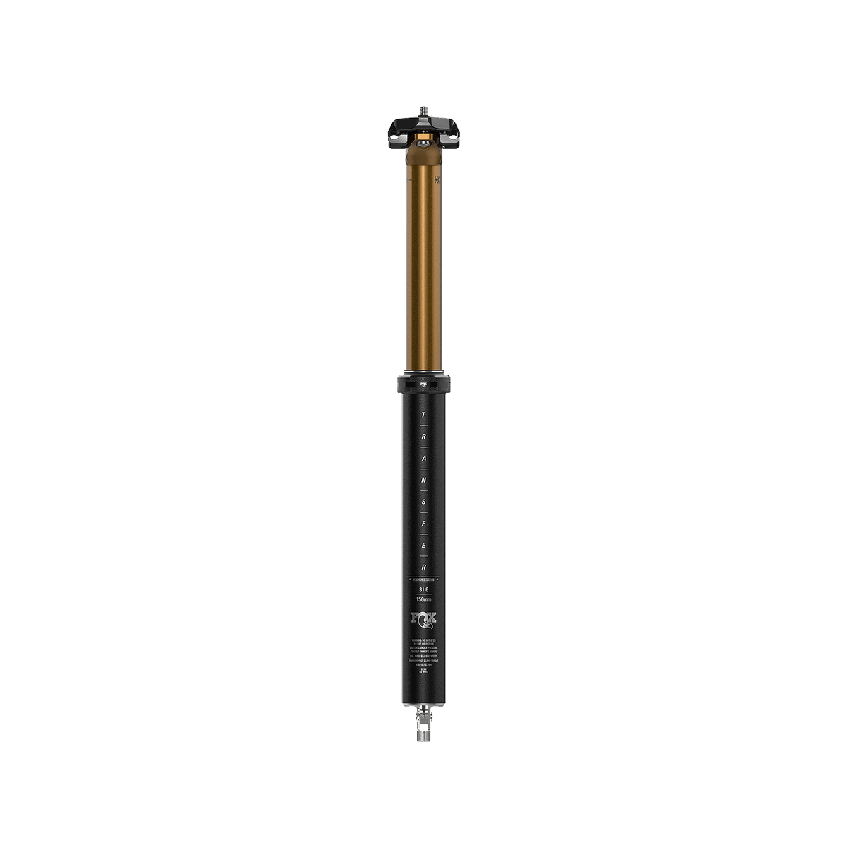 fox sattelstütze fährt nicht ganz aus Transfer Factory 2026/25 | 30,9mm Width (Side to Side):41-48 inches Fahrrad-Gepäckträger: Kaufberatung | Mein-Fahrradhändler Year_2021_Make_Lexus_Model_LC_Engine_5.0L Gas