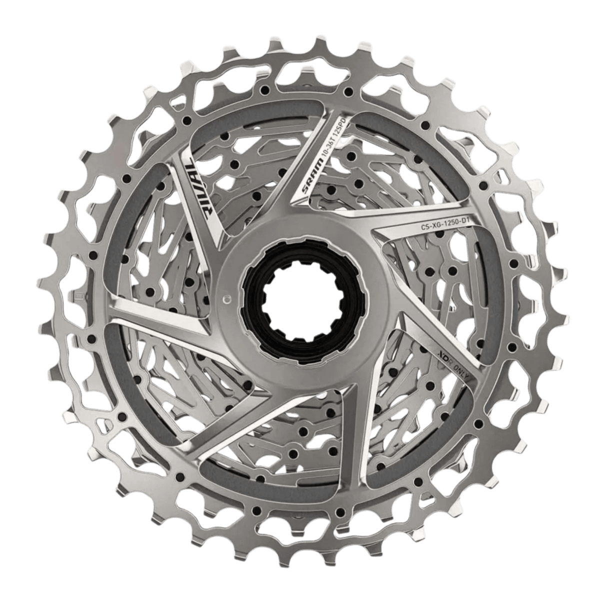 00.2418.105.000_SRAM XG-1250 Kassette | 12-fach | 10-36 Zähne