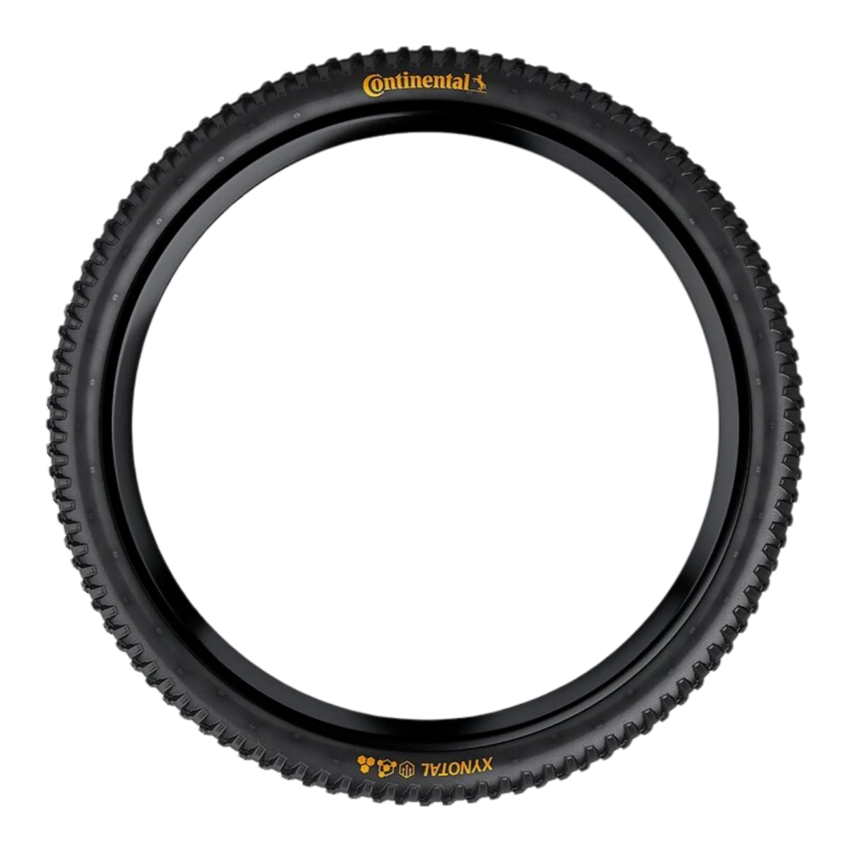Continental Xynotal Faltreifen | Endurance-Compound | Trail Casing | 29x2,40"