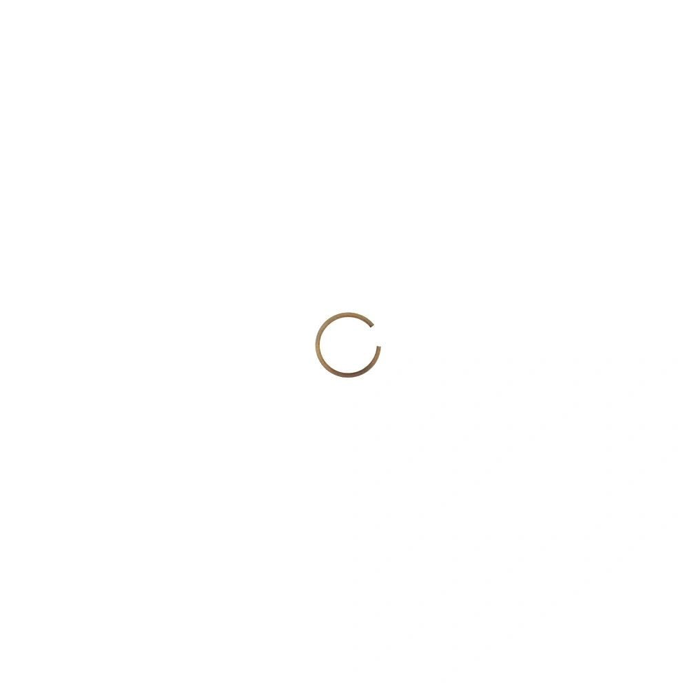 038 - 00 - 058_Retaining Ring Internal VH - 31
