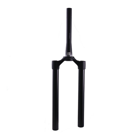 2021 FOX 36 E-Bike+ CSU Black Ano - Matte Black