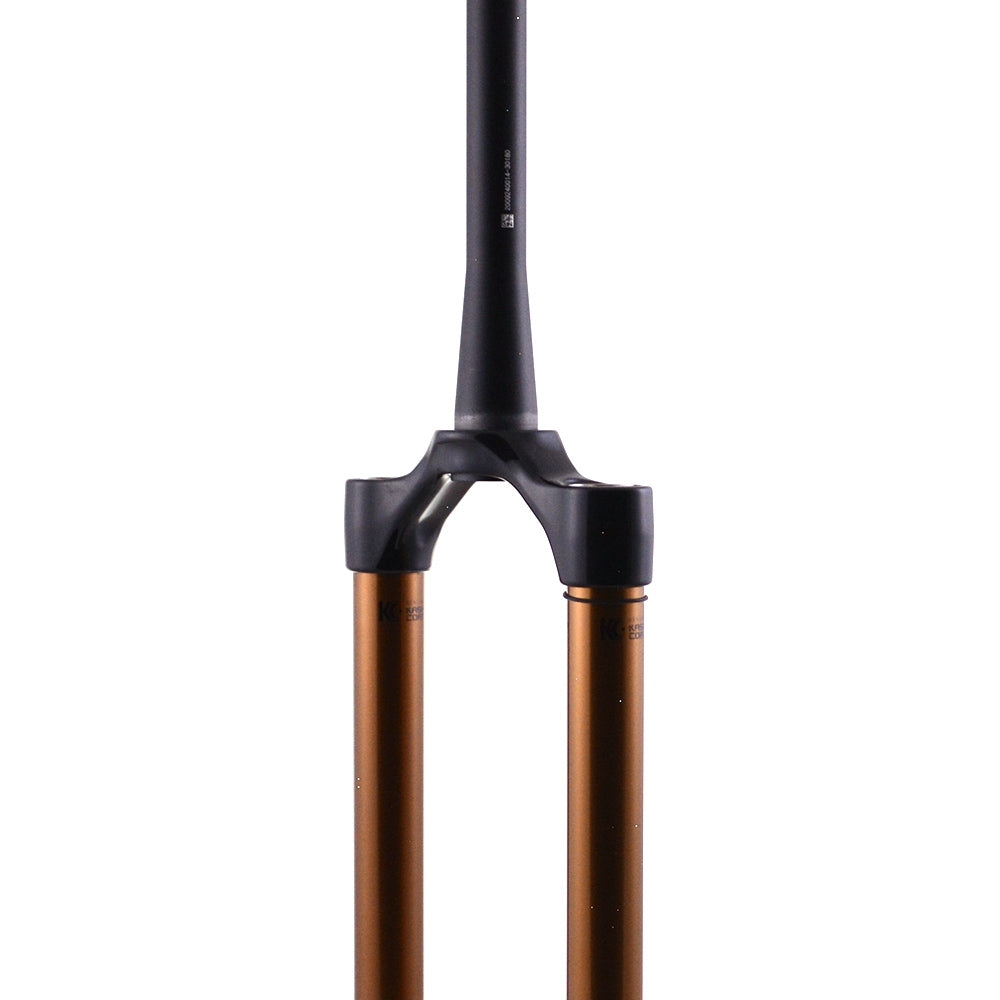 2021 FOX 36 E-Bike+ CSU Kashima Shiny Black