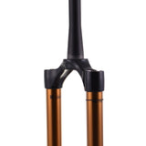 2021 FOX 38 CSU Kashima Shiny Black