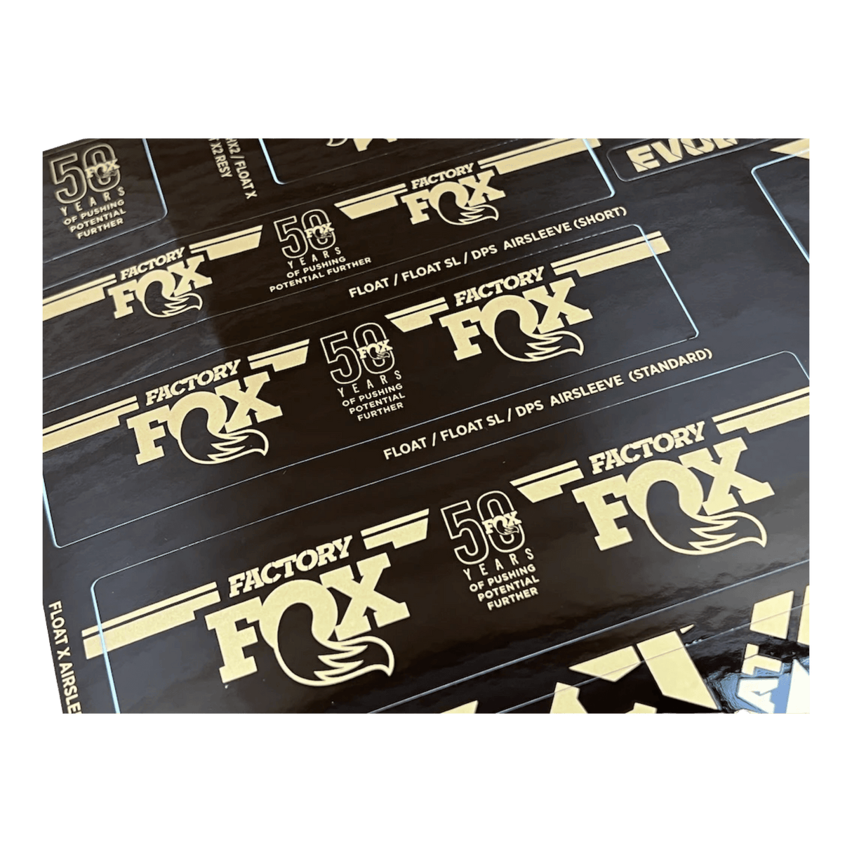 803-01-991_FOX Decal Kit für Dämpfer | Podium Gold Limited Edition