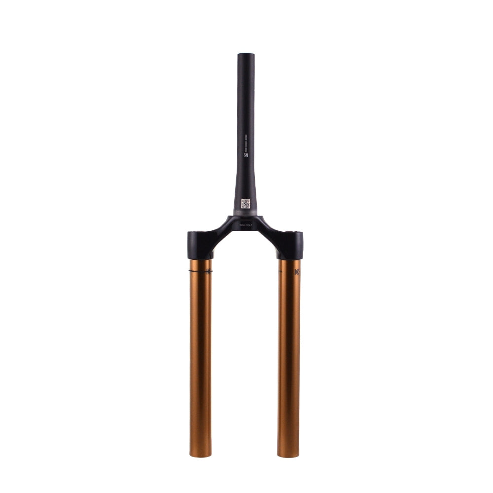 FOX 38 factory 29インチ　新車外し　カシマコート Universal Cycles -- Fox 38 FIT GRIP2 29