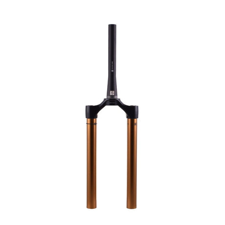 820-12-274-KIT_2021 FOX 38 E - Bike+ CSU Kashima | 180mm MAX | 15x110 | 51mm 68HT | Shiny Black