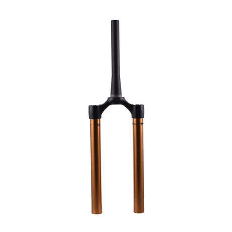 820-12-274-KIT_2021 FOX 38 E - Bike+ CSU Kashima | 180mm MAX | 15x110 | 51mm 68HT | Shiny Black