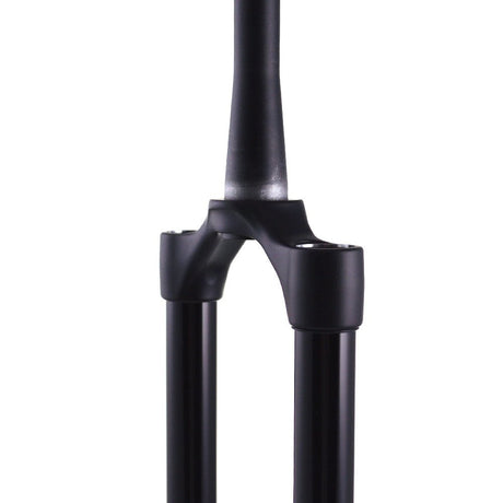 820-12-341-KIT_2021 FOX 36 E - Bike+ CSU Black Ano | 29" 160mm | 15x110 | 51mm 68HT | Matte Black