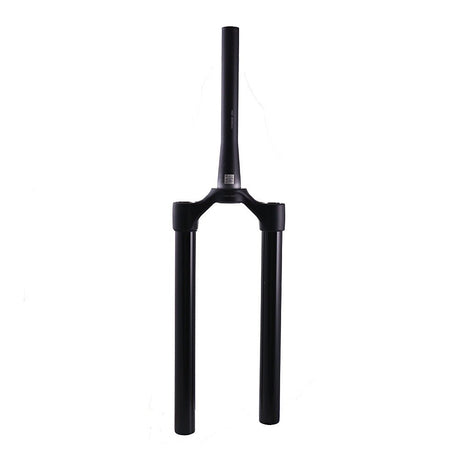 820-12-341-KIT_2021 FOX 36 E - Bike+ CSU Black Ano | 29" 160mm | 15x110 | 51mm 68HT | Matte Black
