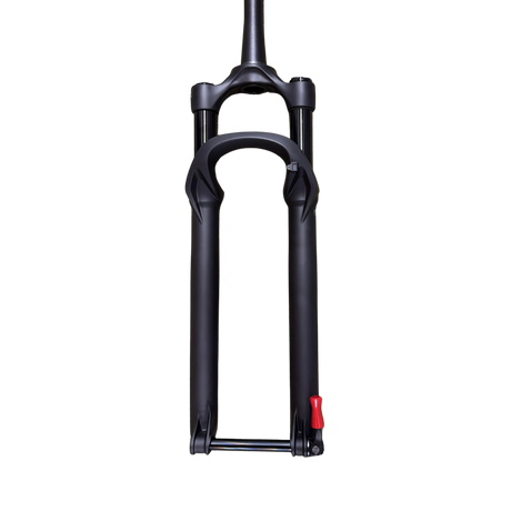 2025 FOX 34 Float AWL Sport | 29" 120mm | 15x110 | 44mm 58HT | RAIL 2.0