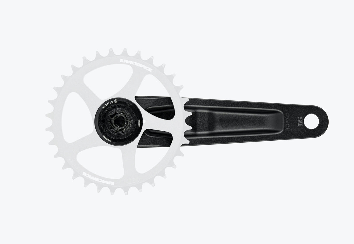 CK19RID190ARM175BLK_Race Face Ride Kurbelarme